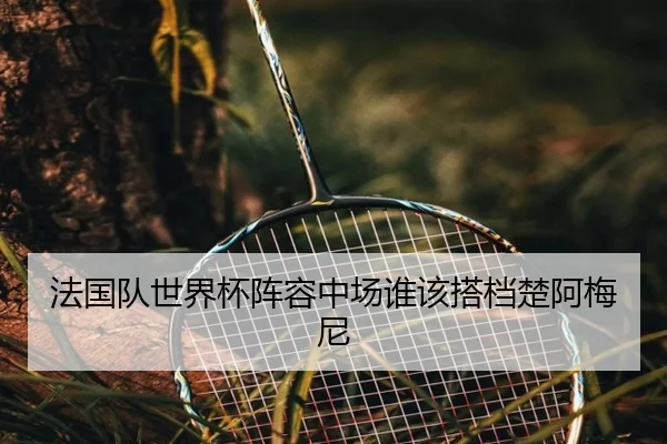 法国队世界杯阵容中场谁该搭档楚阿梅尼